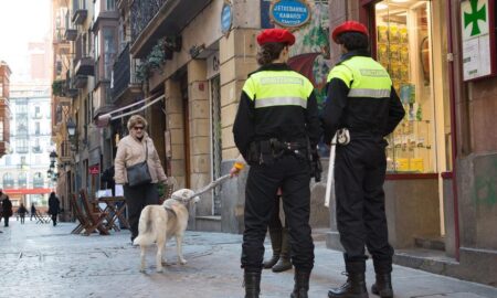 Bilbao quiere juicios rápidos contra los 2910 delincuentes reincidentes