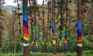 El Bosque de Oma: una nueva experiencia artística en medio de la naturaleza próxima apertura