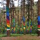 El Bosque de Oma: una nueva experiencia artística en medio de la naturaleza próxima apertura