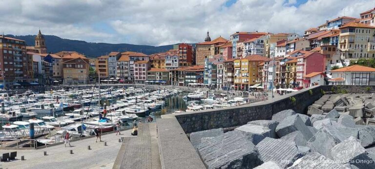 Bermeo-reserva-de-urdaibai-1140×513