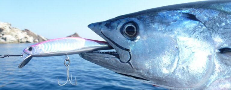 Pesca-de-bonito-a-spinning-1440x564_c