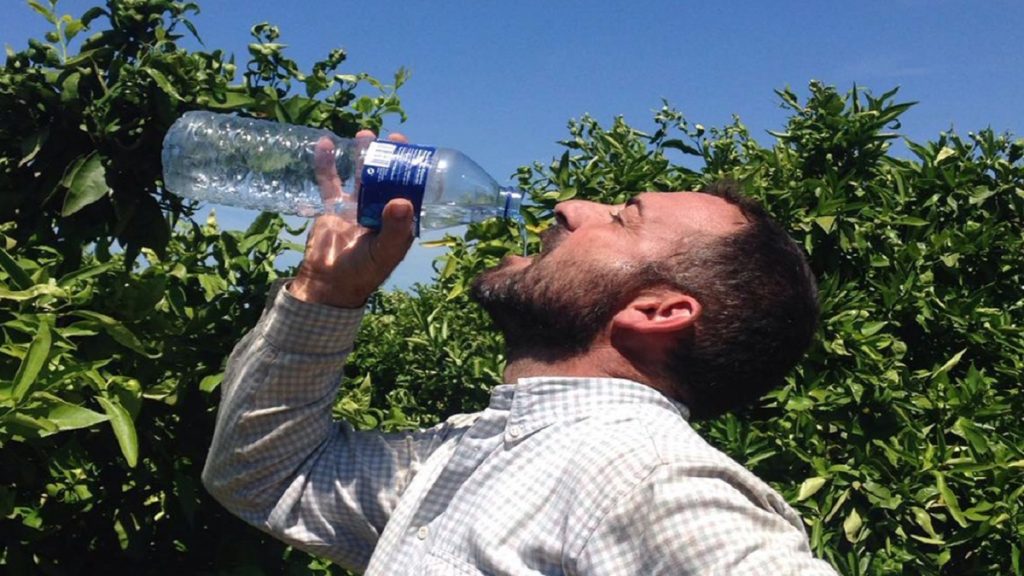 Trabajador agrícola hidratándose bajo el intenso calor, priorizando su salud y bienestar.