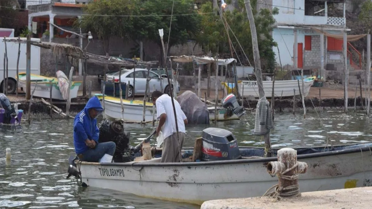 Pescadores furtivos en Mundaka: una imagen impactante que muestra la intervención de la Patrulla Fiscal y de Fronteras y el decomiso de pescado y marisco ilegal