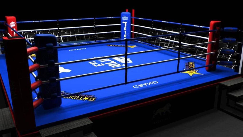 Ring de boxeo profesional, el escenario de las batallas de Jokin García en busca de la victoria