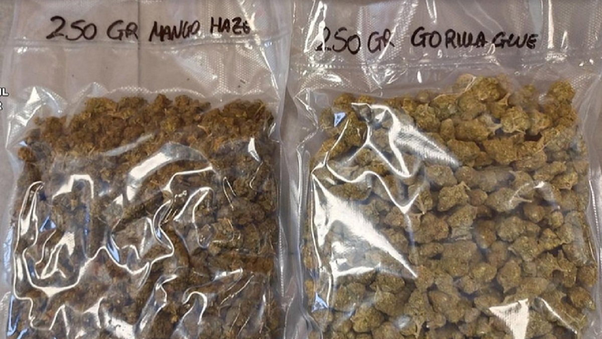 Imagen de los dos paquetes de sustancias ilegales incautados en Bizkaia por las autoridades.