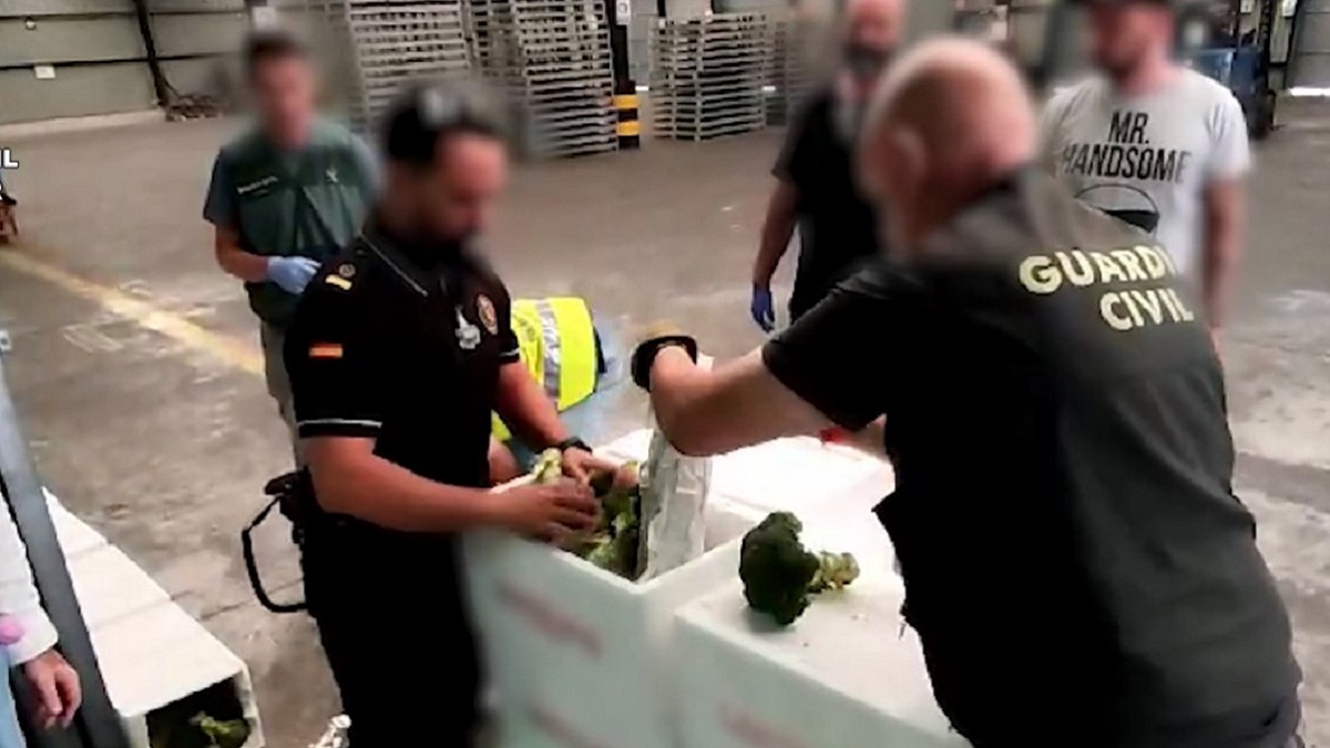 Incautan 23,5 kilos de marihuana en un camión rumbo a Irlanda en el Puerto de Bilbao