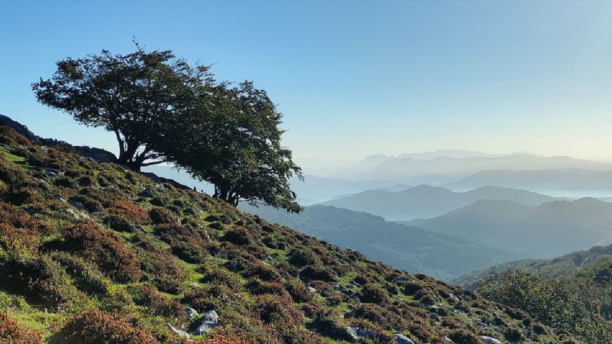 Monte Gorbea