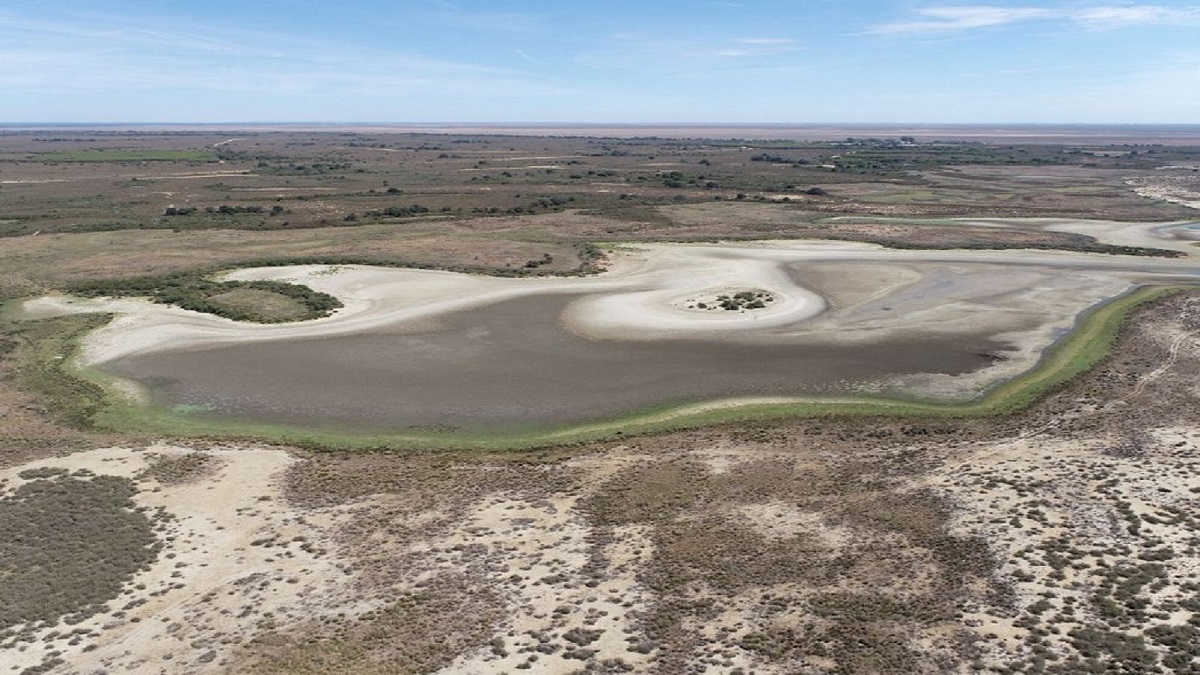 Doñana enfrenta un momento crítico tras perder el distintivo verde de la UICN