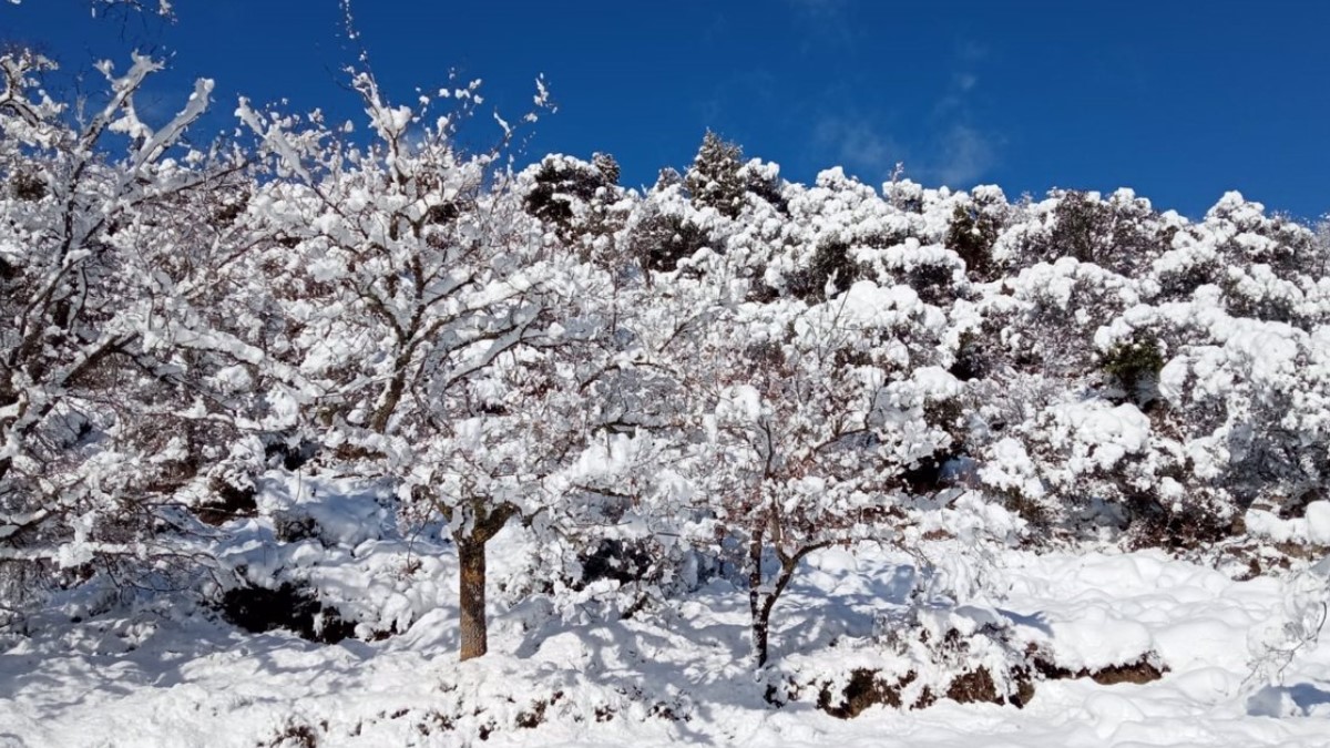 Euskadi estará este viernes y sábado en aviso amarillo por nieve y lluvias intensas