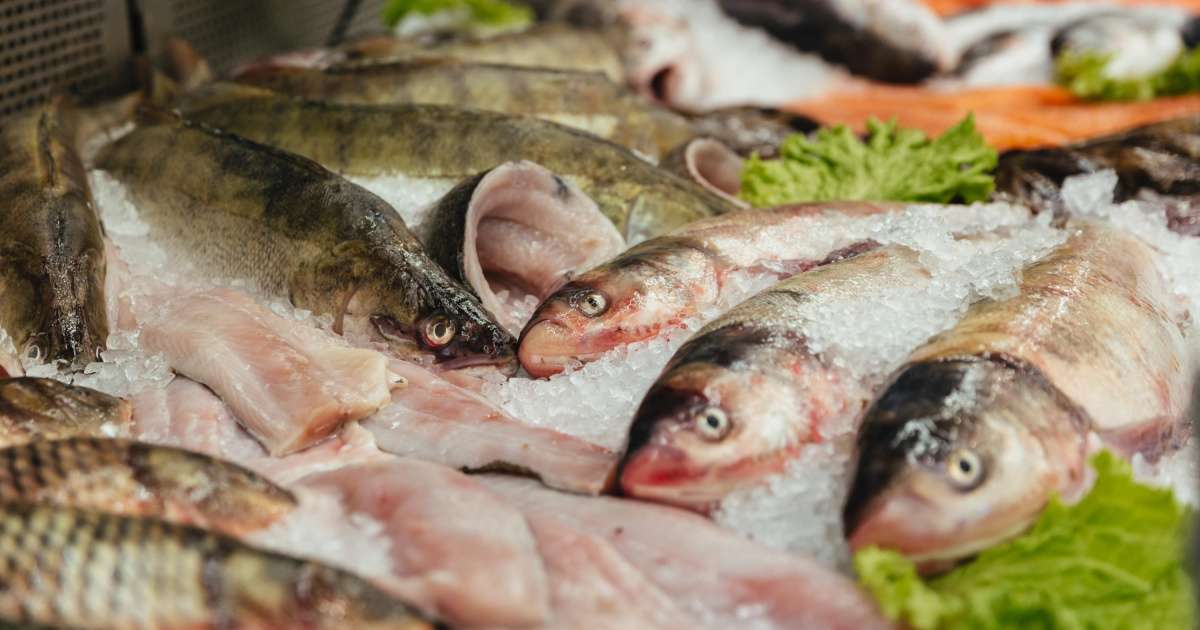 aumento precio pescado