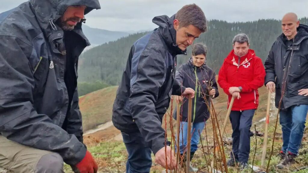 100 voluntarios se unen para plantar 8.600 árboles en Zalla