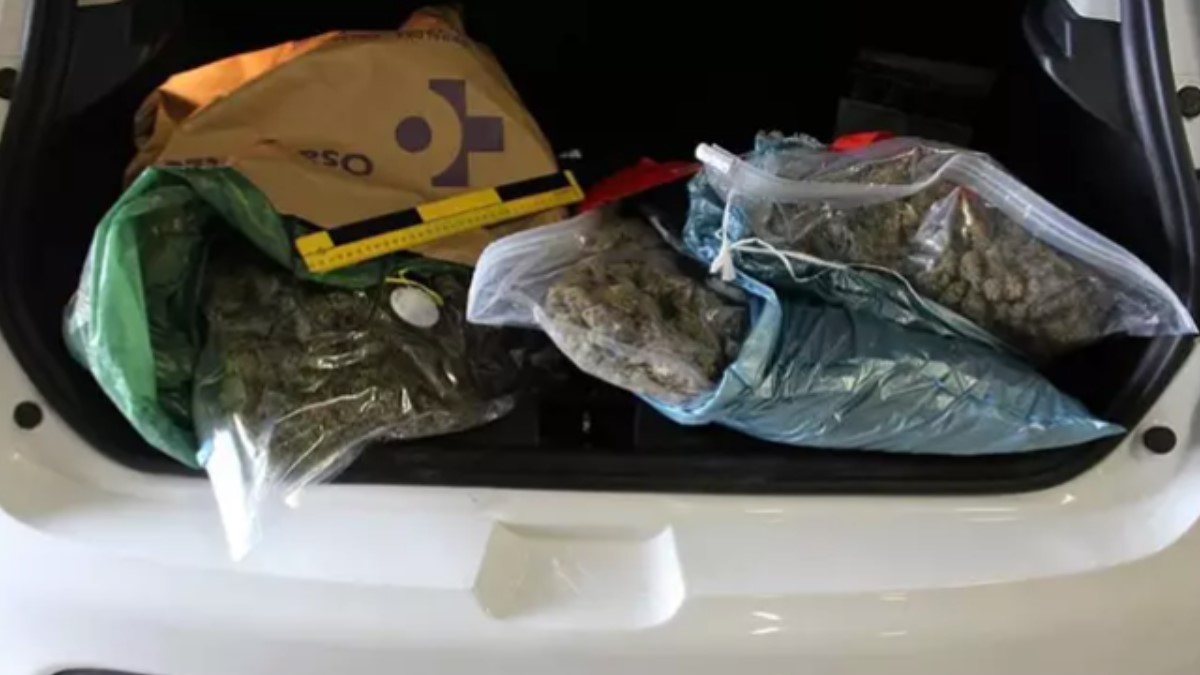 La Guardia Civil detiene a un hombre vizcaíno con 3 kilos de marihuana en la AP-8