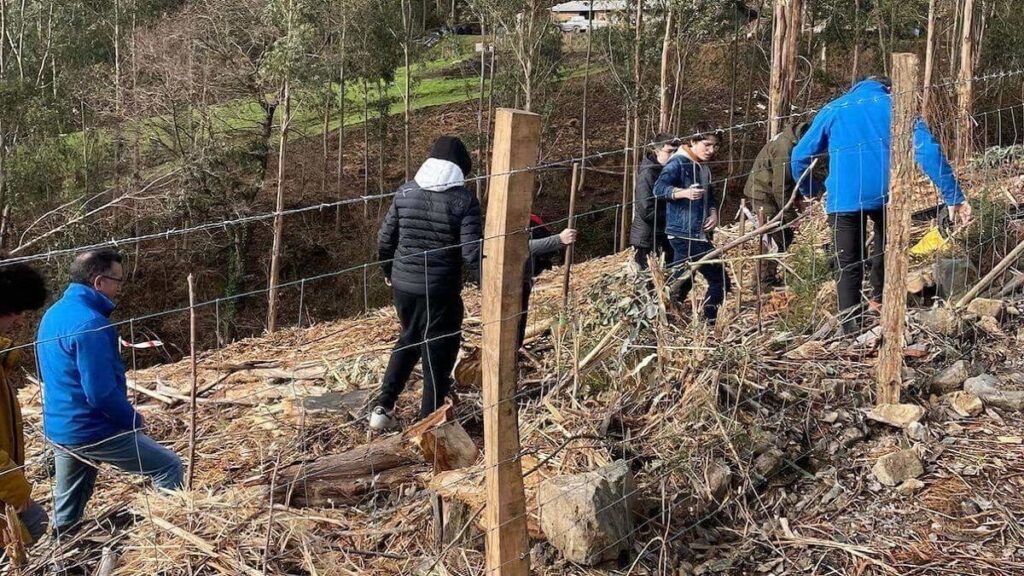 Tercera Fase de Reforestación, con el Apoyo de 600 Estudiantes