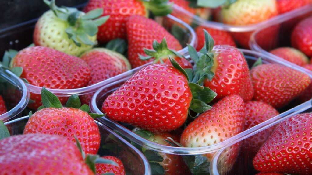 Sanidad previene la llegada de fresas contaminadas con Hepatitis A al consumidor