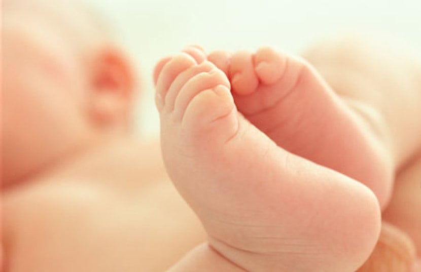  salud neonatal Euskadi 