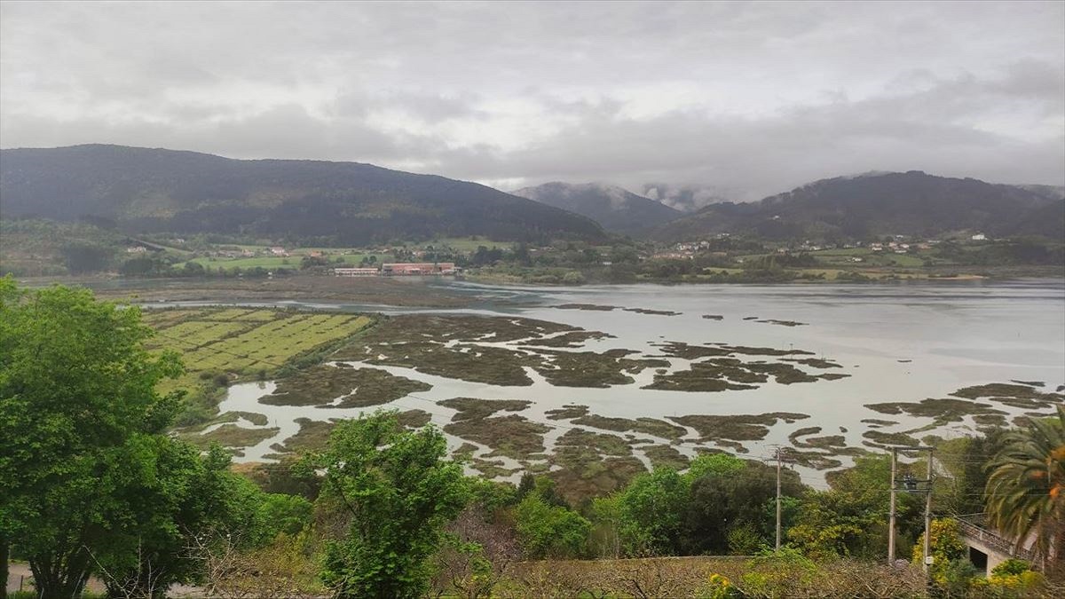 Ecologistas se oponen al Guggenheim Urdaibai