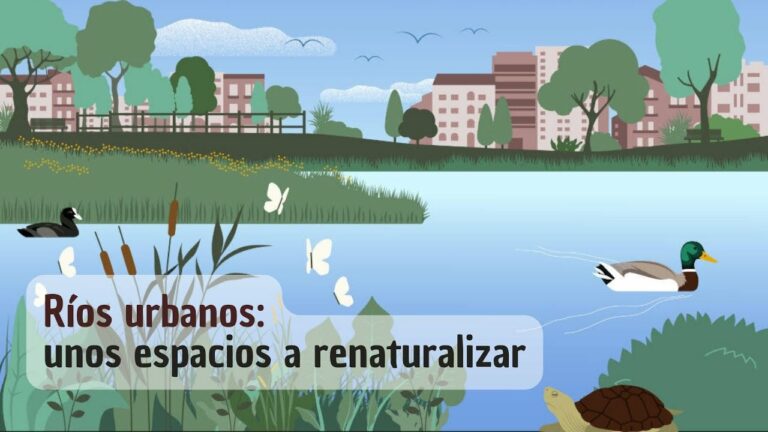 Propuesta de renaturalización del río Nervión presentada en Bilbao